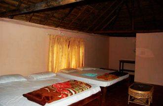 Orchid Homestay, Coorg 2